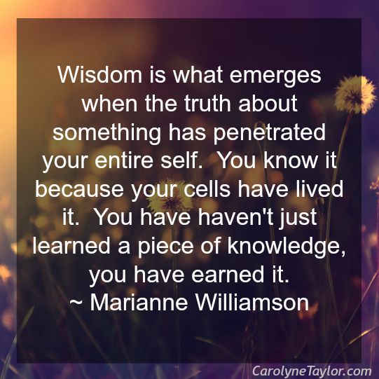 Wisdom Collection – Wisdom